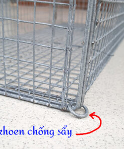 lồng bẫy mèo
