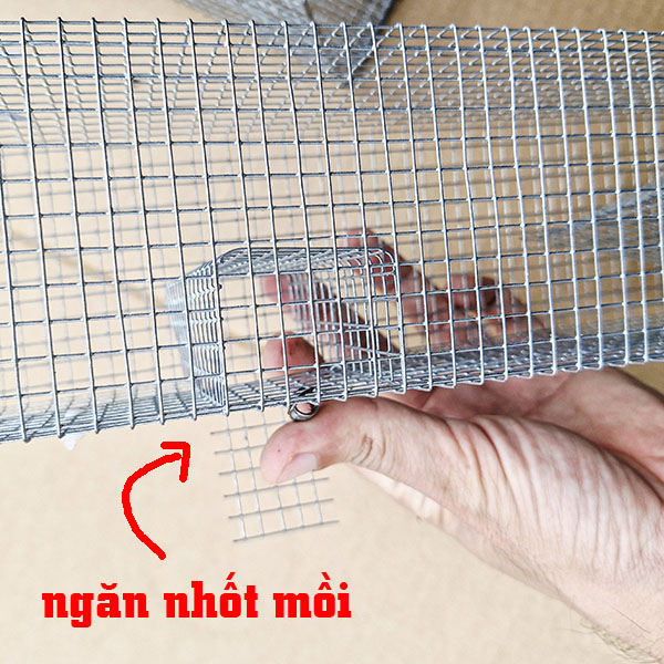 bẫy tắc kè, ngăn nhốt mồi riêng