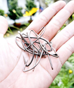 câu kiều câu giăng cá các loại