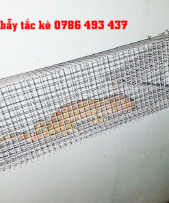 bẫy tắc kè trong nhà