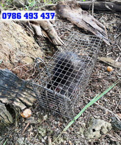 dụng cụ đánh bắt, lồng bẫy chuột cống