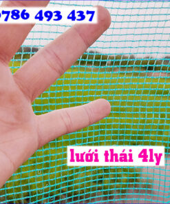 mua dớn chặn sông, bán dớn chặn sông