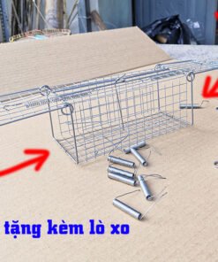 bẫy chuột đường mòn 2 cửa vào
