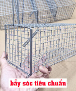 đặt bẫy Sóc Phá Hoại Sầu Riêng mẫu tiêu chuẩn