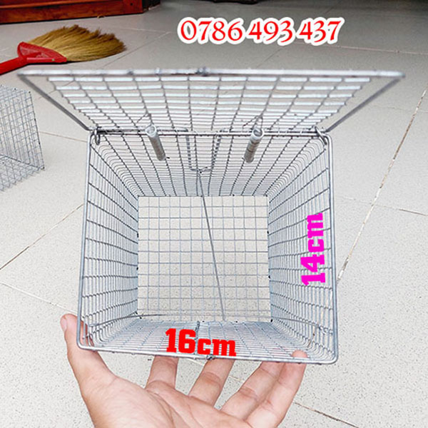 cách bẫy bìm bịp bằng lồng bẫy tiêu chuẩn