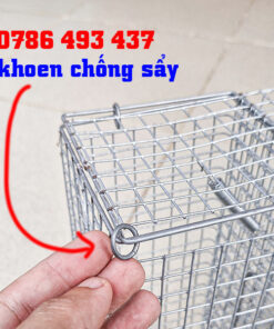 bẫy chuột cống ở Hà Nội