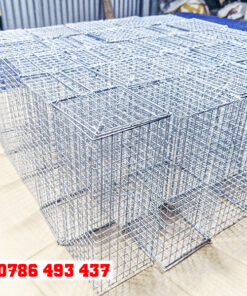 bẫy chuột cống lang giá rẻ