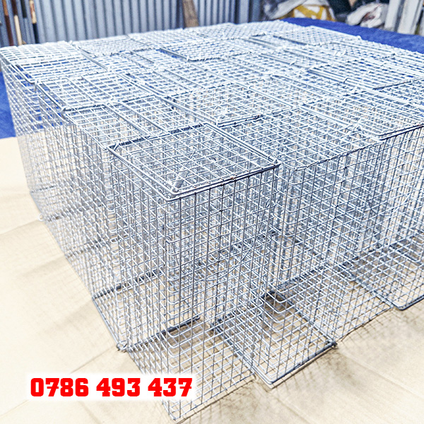 bẫy chuột cống lang giá rẻ