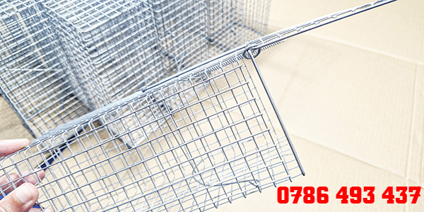 bẫy chuột cống lang giá tốt