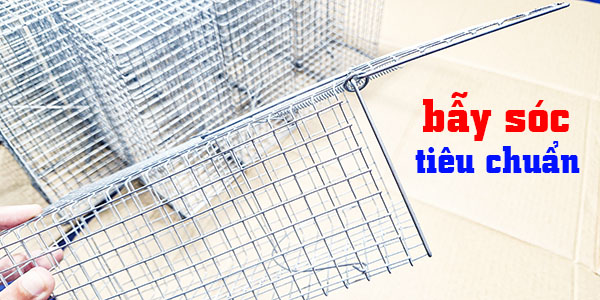 bẫy sóc bảo vệ vườn trái cây
