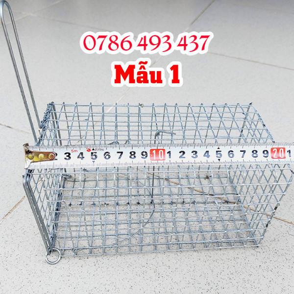 giá lồng bẫy sóc bông, sóc đất