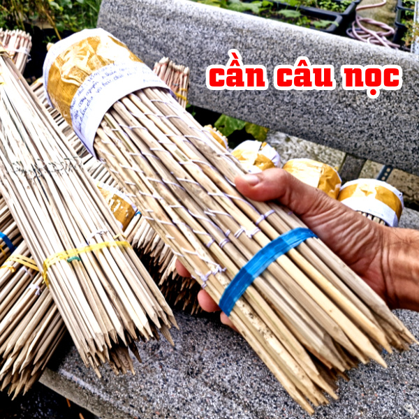cần câu cắm ếch kiểu câu nọc